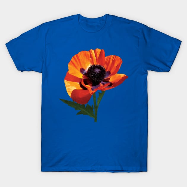 Oriental Poppy T-Shirt by SusanSavad